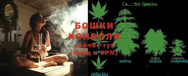 индика Алексеевка