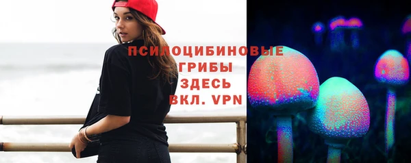 твердый Алексин