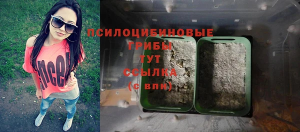 Альфа ПВП Алзамай