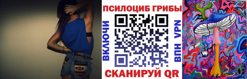 купить   Бобров  Галлюциногенные грибы Cubensis 